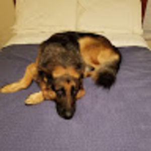 Meet your Posher, Trey